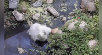 Abominable feminicidio: Encuentran el cuerpo de una mujer en canal de aguas pluviales