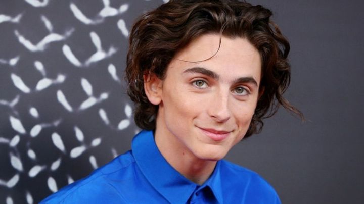 El chocolatero más famoso regresa: Timothée Chalamet será el nuevo 'Willy Wonka'