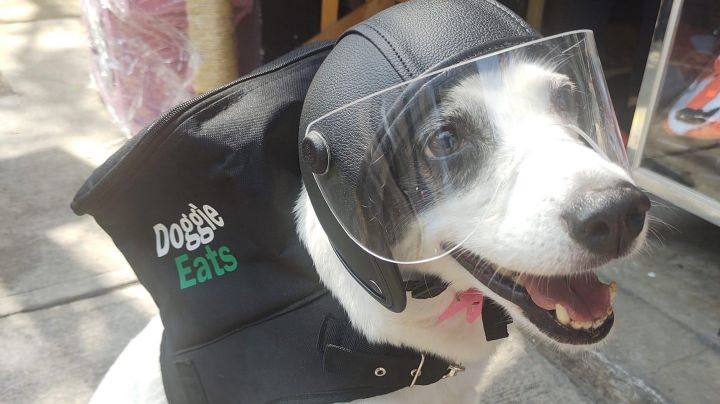 ¡No lo logró! 'Perrita' viral que trabaja en Uber Eats no llega a la meta para apoyar albergue