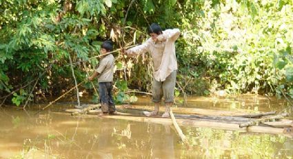 Tsimane, la tribu amazónica con el "corazón más sano que se haya estudiado" por científicos