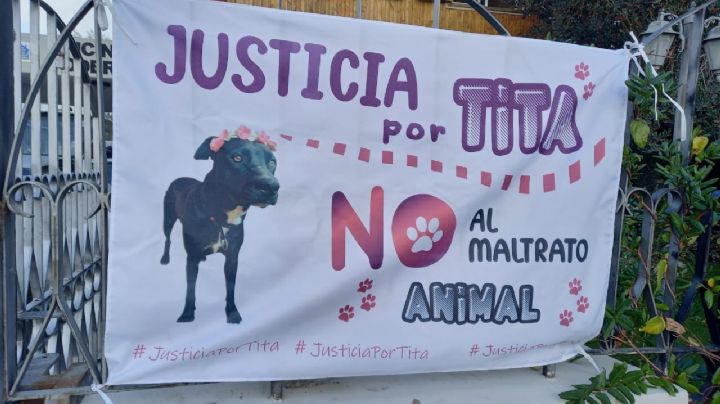 Piden justicia para un 'perrito' asesinado; el sargento le disparó porque "le ladró"