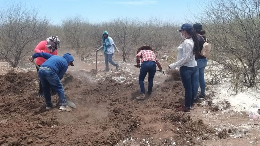 Guerreras Buscadoras encuentran dos osamentas en el ejido Francisco Villa