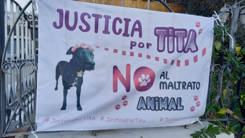 Piden justicia para un 'perrito' asesinado; el sargento le disparó porque "le ladró"