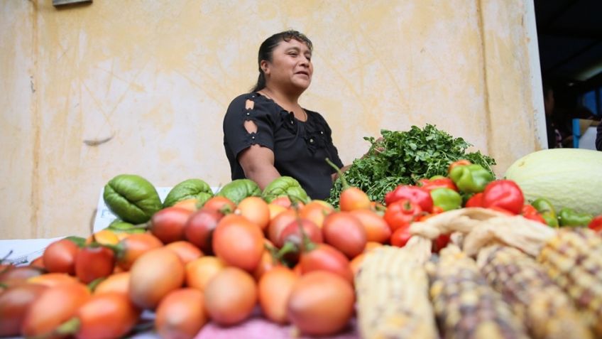 Revelan que una buena alimentación ayuda a conservar el buen funcionamiento del cerebro