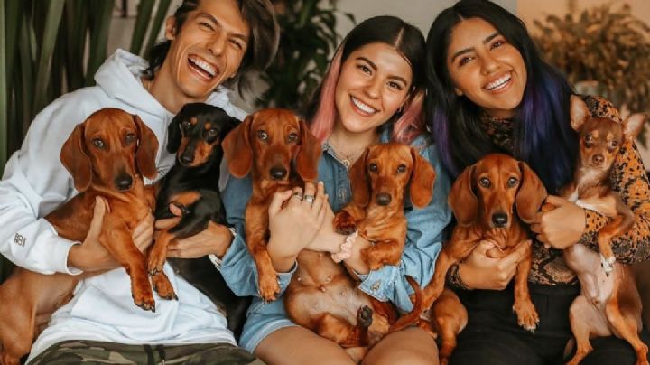 Integrante de 'Los Polinesios' sufre sangriento accidente en cultivo de agaves