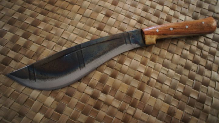 Infierno en el hogar: Javier agrede y apuñala a su propio hijo durante una discusión