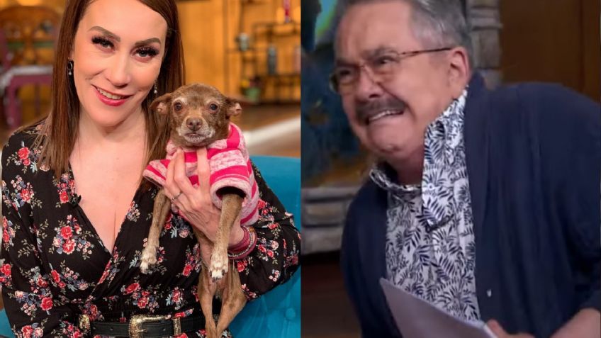 ¡Insólito! Pedro Sola le tiene miedo a los perros, sobre todo a este chihuahua