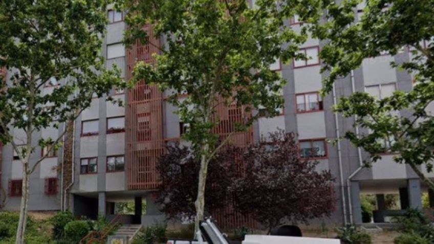 Devorada por sus gatos: Mujer muere en su departamento y llevaba 3 meses en descomposición