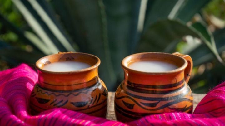 IPN patenta posible nuevo tratamiento para evitar el cáncer que se obtiene del pulque