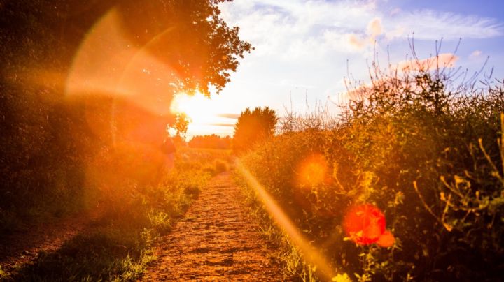 Clima Sonora: ¡Saca el protector solar! Hay índice alto de rayos UV este lunes 3 de mayo