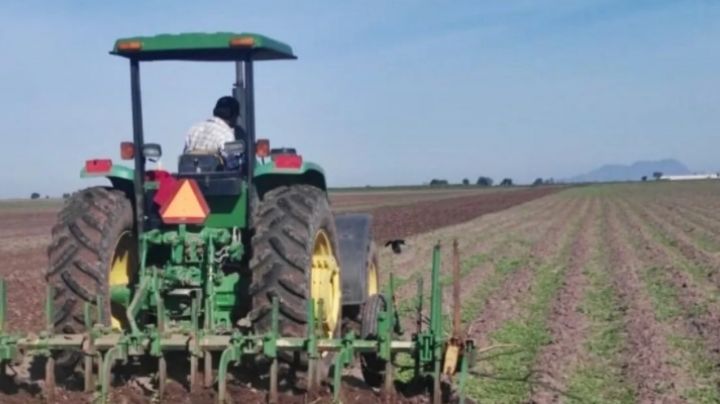 Sonora presentó un incremento económico durante el último trimestre del 2020