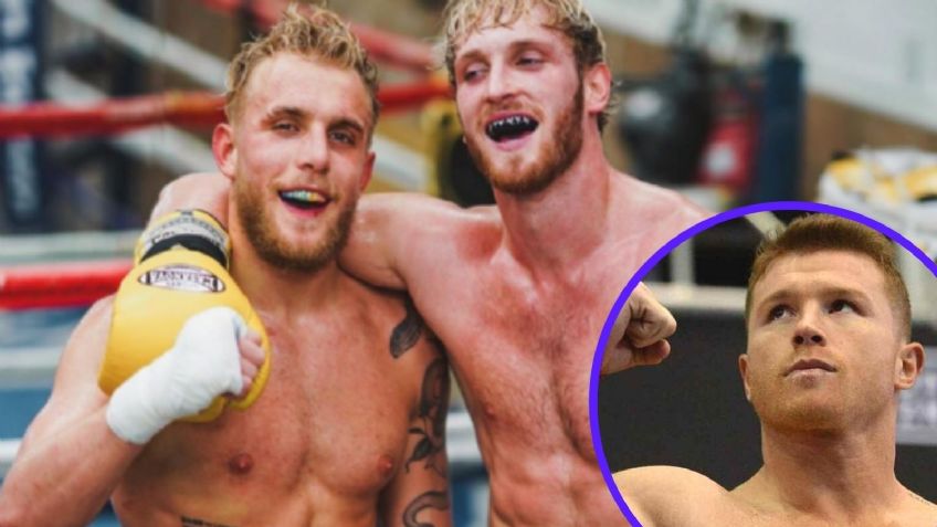 'Canelo' Álvarez advierte a Jake y a Paul Logan que "podrían morir" si siguen boxeando