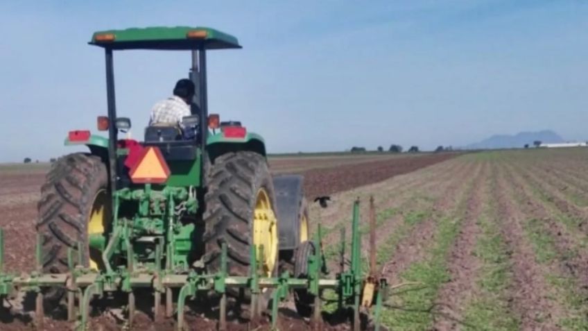 Sonora presentó un incremento económico durante el último trimestre del 2020