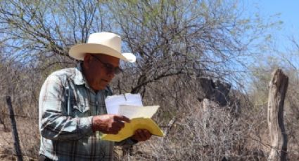 Sedatu avanza en deslinde de tierras Yaquis, productores presentan evidencias de propiedad