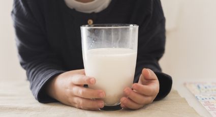 Descubre todos los beneficios que la leche le aportará a tus hijos más pequeños