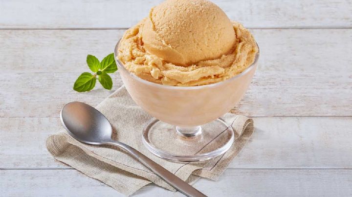 Refresca tus tardes con este helado de mamey, que te robará el aliento con su gran sabor