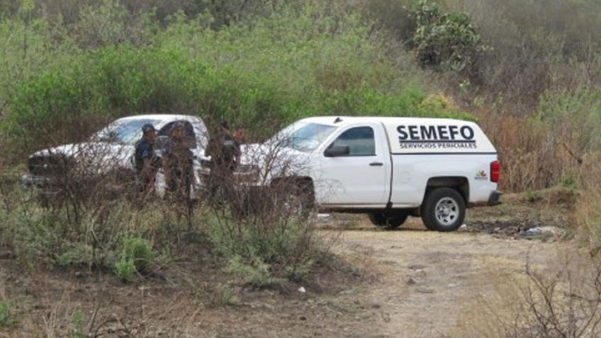 Localizan cadáver putrefacto en predio de Cajeme; se trataría de un adulto mayor