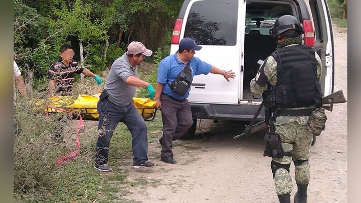 Localizan el cadáver un hombre en un campo de siembras; era devorado por animales