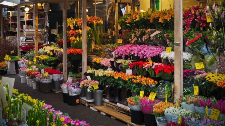 Productores de flores prevén ventas de 10mmdp el próximo Día de las Madres