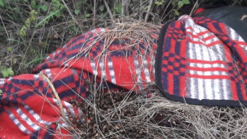 Tenía 35 años: Hallan a hombre 'encobijado' en carretera de Sonora; habría sido 'levantado'