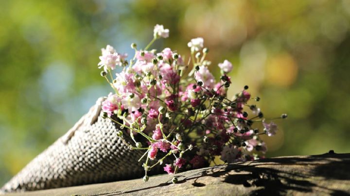 Covid-19: Estas ideas te ayudarán a celebrar el Día de las Madres a la distancia