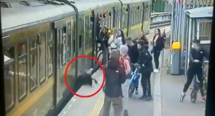 VIDEO: Momento en el que jóvenes escupen y empujan a una adolescente a las vías del tren
