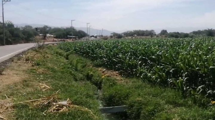 Jornaleros descubren a mujer en canal y la rescatan; ya estaba muerta y tenía signos de tortura