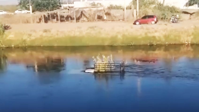 Se precipita automóvil a las aguas del Canal Bajo en Cajeme; habría sido provocado