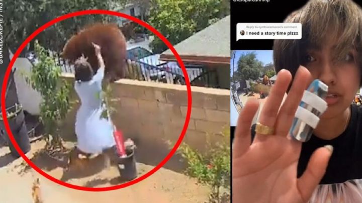 VIDEO: Adolescente se enfrenta mano a mano contra un oso para salvar a sus perritos