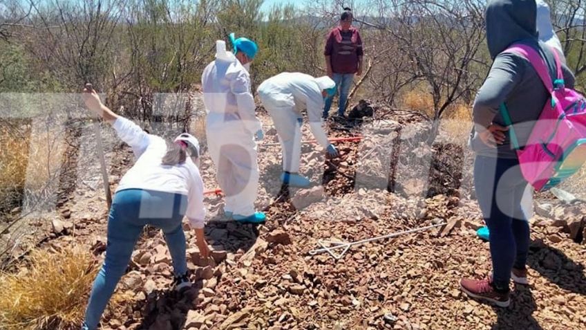 Guaymas: Guerreras Buscadoras hallan muerta a joven desaparecida en San José