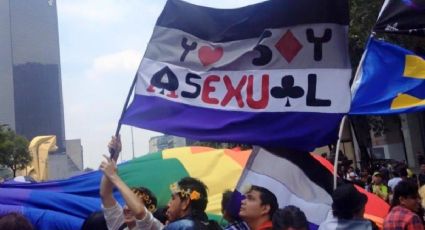 Mes del Orgullo LGBT+: No creerás el poderoso significado de la bandera asexual