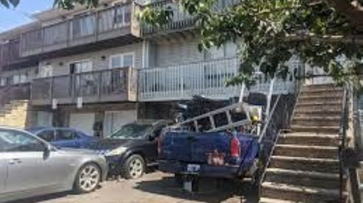 Niño fallece tras caer desde un tercer piso y ser brutalmente atacado por perros pitbull