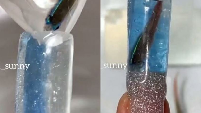 VIDEO: Artista de uñas postizas enfurece a Internet al usar peces reales en sus diseños