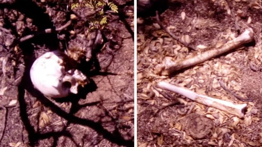 Macabro hallazgo: Localizan restos de hombre desaparecido en Nogales; difunden FOTOS