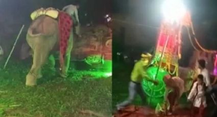 VIDEO: Elefante destroza una boda y se abre paso al estacionamiento para volcar seis autos