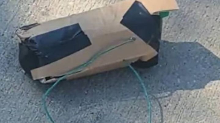 Aterrador: Niña de 8 años halla una bomba a mitad de la calle; pensó que era una ardilla
