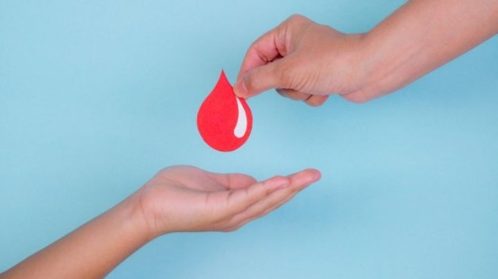 Día Internacional del Donante de Sangre: Conoce la importancia de esta actividad