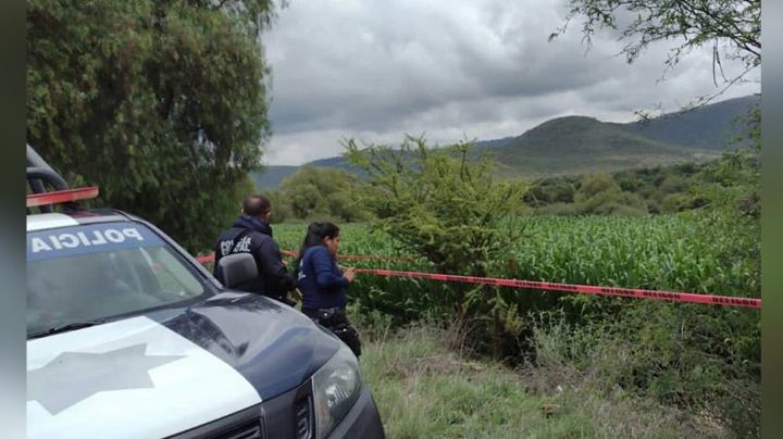 En medio de un campo de cultivo, hallan el cadáver de un hombre en avanzado estado de descomposición