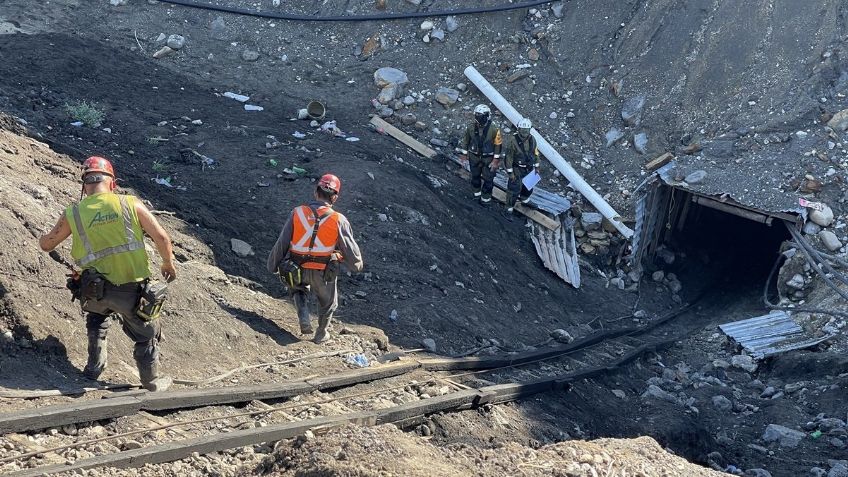 'Amigos fieles': Los perritos que esperan a sus dueños; mineros fallecidos en la mina de Múzquiz