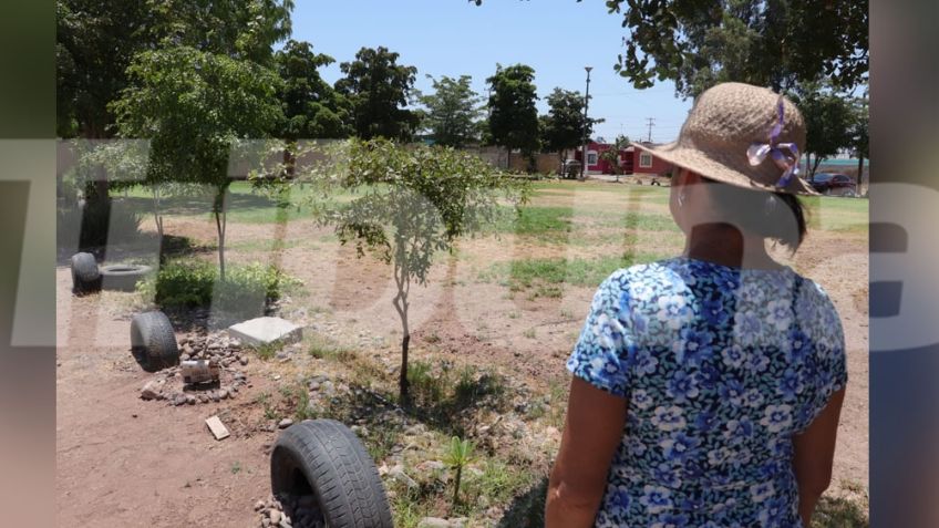 Cajeme: Vecinos de Las Misiones toman acciones propias para cuidar la reforestación en parques