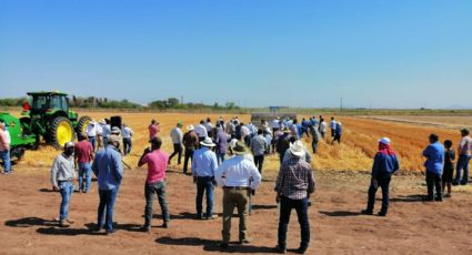 Aoaas lleva a cabo demostración de sembradoras para Agricultura de Conservación