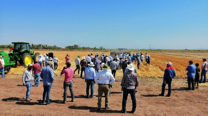 Aoaas lleva a cabo demostración de sembradoras para Agricultura de Conservación