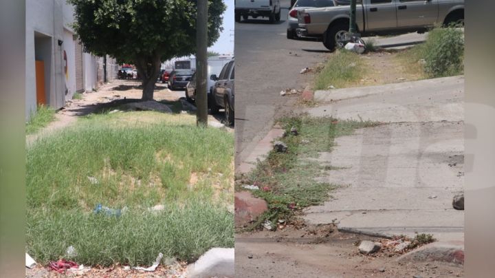 Cajeme es un municipio no habilitado para personas con discapacidad, según CMID