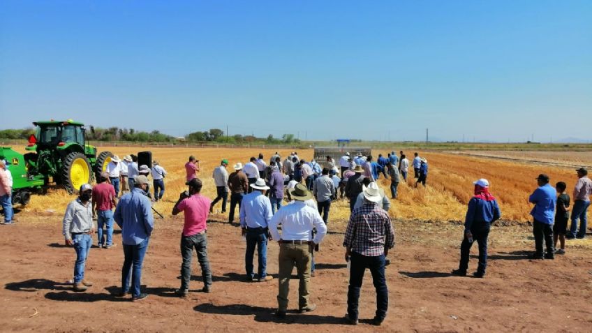 Aoaas lleva a cabo demostración de sembradoras para Agricultura de Conservación