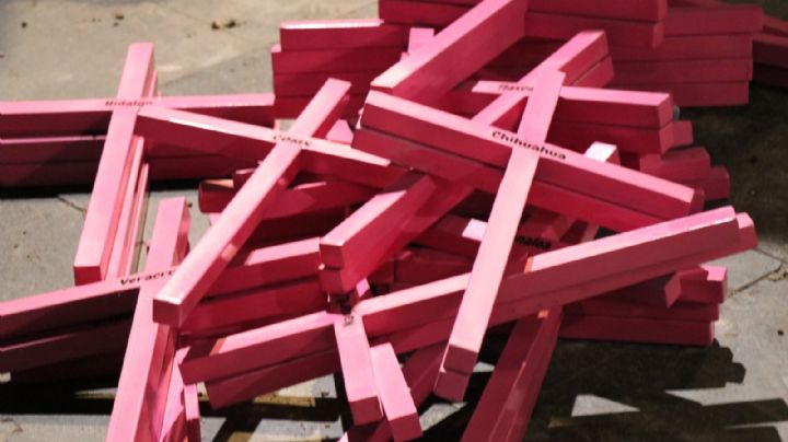 Joanna es descuartizada por su esposo; tiró los pedazos en un terreno cerca de su casa