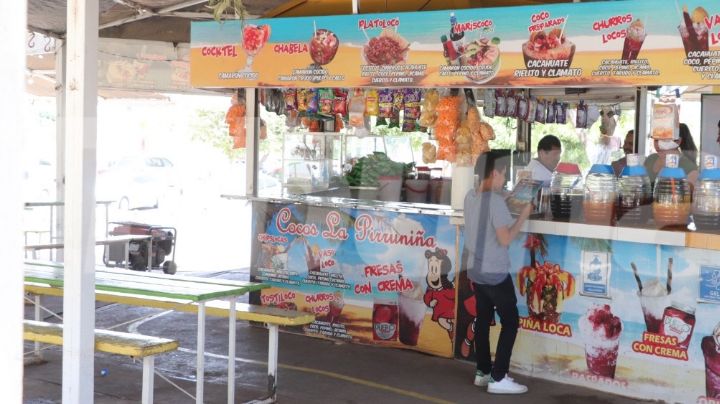 Coqueros de la laguna del Náinari tendrán energía eléctrica, según Inmobiliaria de Cajeme