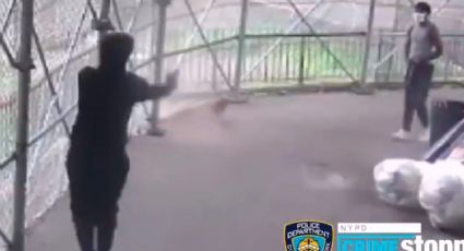 VIDEO: Pelea a palabras con otro hombre, se enoja y le dispara a plena luz del día