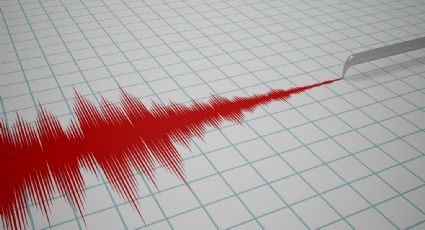 Alerta en Chiapas: Fuerte sismo de magnitud 5.4 golpea Venustiano Carranza