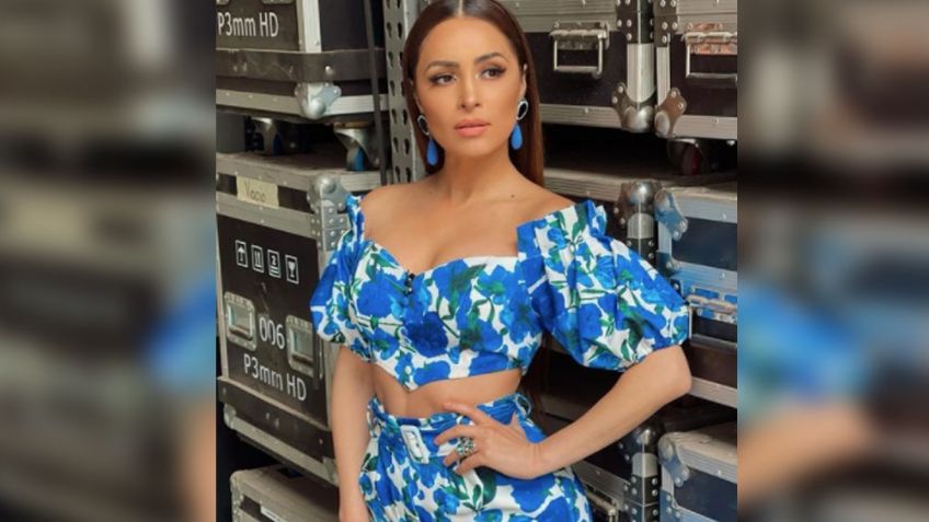 Tras días de ausencia, Cynthia Rodríguez tiene encantadora aparición en redes: FOTOS