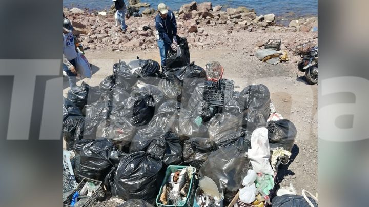 Ambientalistas del Puerto Guaymas buscan rescatar el ecosistema de la contaminación